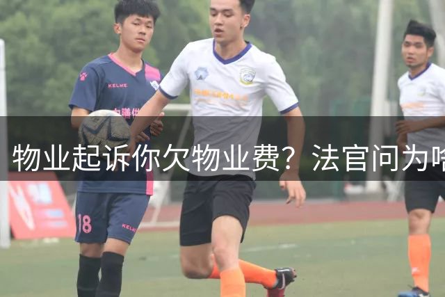 物业起诉你欠物业费？法官问为啥不交，记住用这三句话回答