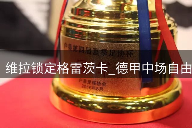 维拉锁定格雷茨卡 德甲中场自由转会英超