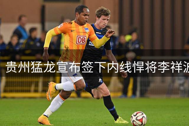 贵州猛龙宣布签下内线悍将李祥波